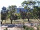 99 Osnaburg Road, York WA 6302