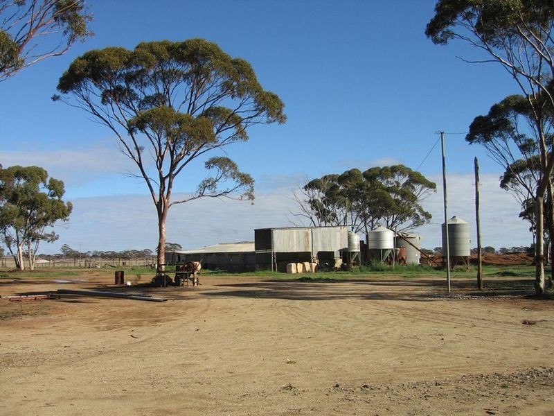 2 & 6 Cunningham Street, Merredin WA 6415