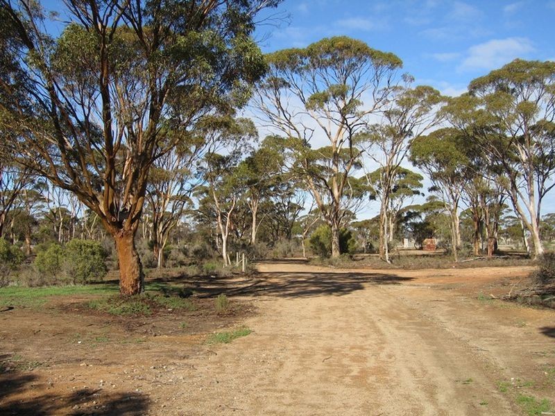 2 & 6 Cunningham Street, Merredin WA 6415