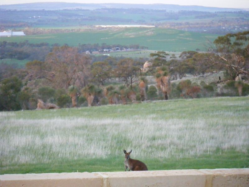 204 Cut Hill Road, Balladong WA 6302