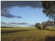 6469 Kokeby East Road, Beverley WA 6304