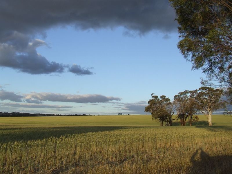 6469 Kokeby East Road, Beverley WA 6304