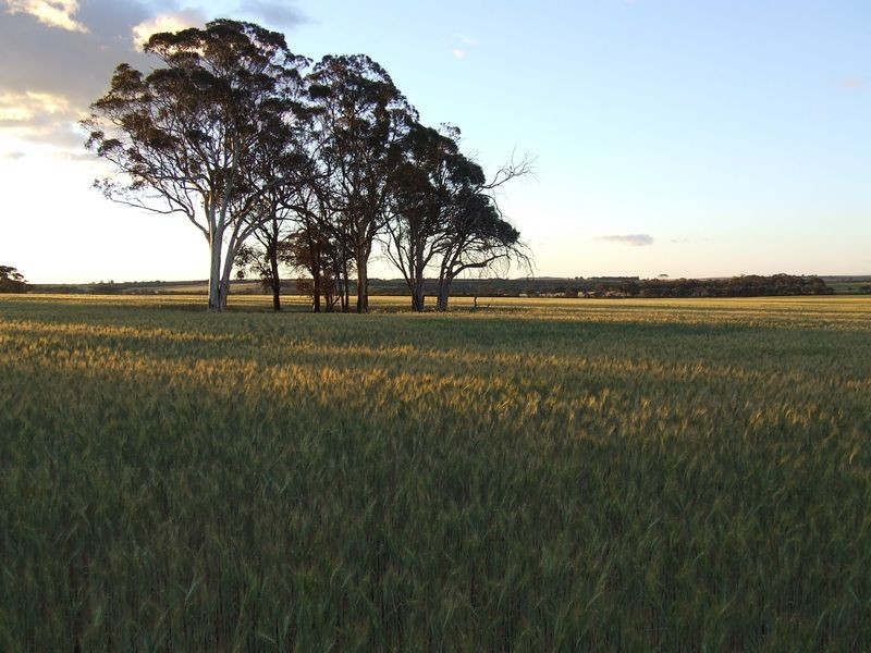 6469 Kokeby East Road, Beverley WA 6304