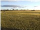 6469 Kokeby East Road, Beverley WA 6304