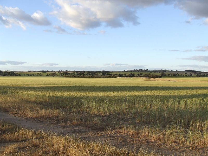 6469 Kokeby East Road, Beverley WA 6304
