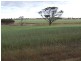 6469 Kokeby East Road, Beverley WA 6304