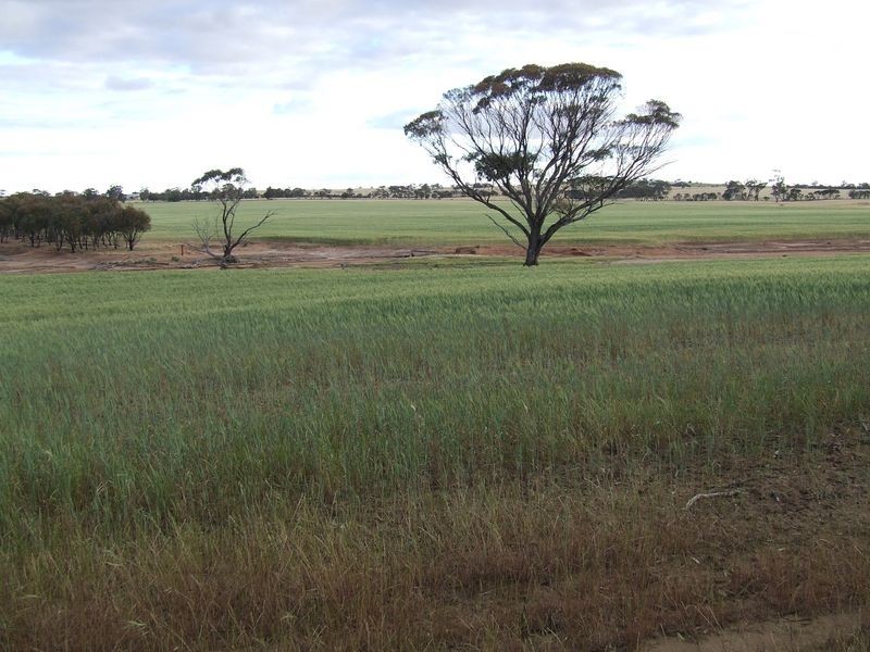 6469 Kokeby East Road, Beverley WA 6304