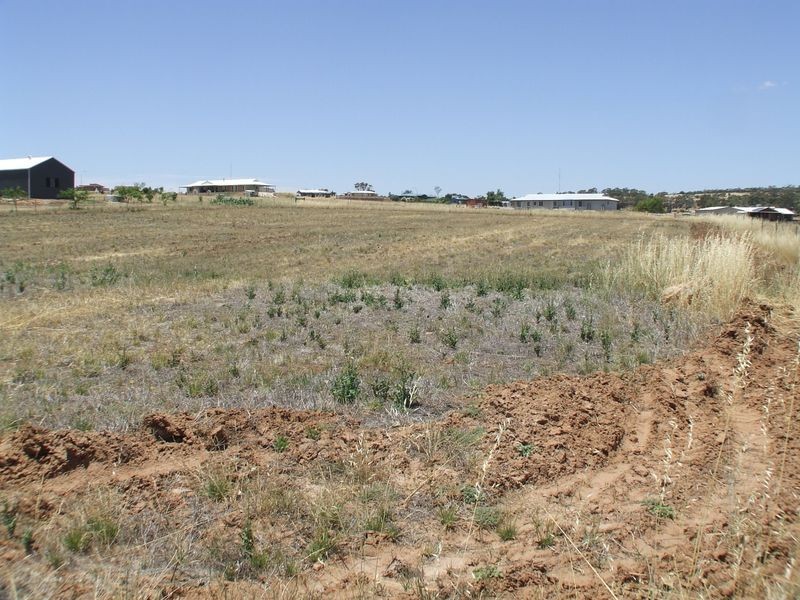 152 Newcastle Street, York WA 6302