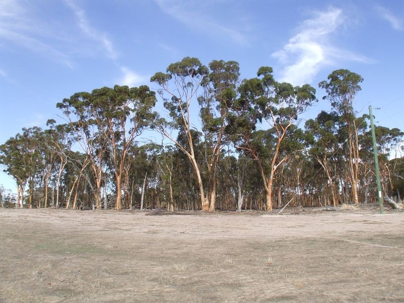 378 Rickeys Road, Beverley WA 6304