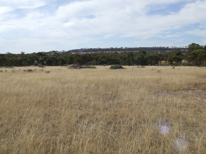 23 Parker Road, York WA 6302