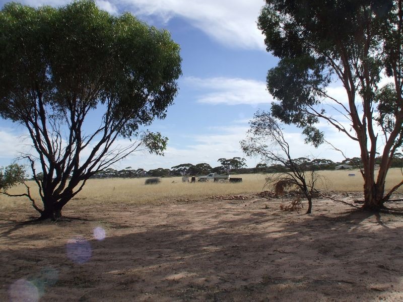 23 Parker Road, York WA 6302