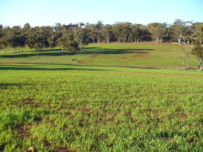 Lot 9 Ashworth Road, York WA 6302