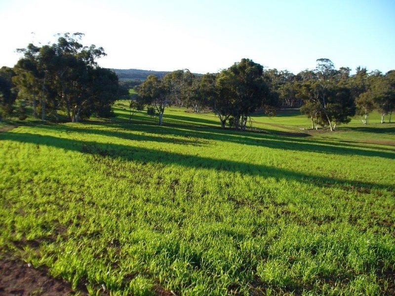 Lot 9 Ashworth Road, York WA 6302