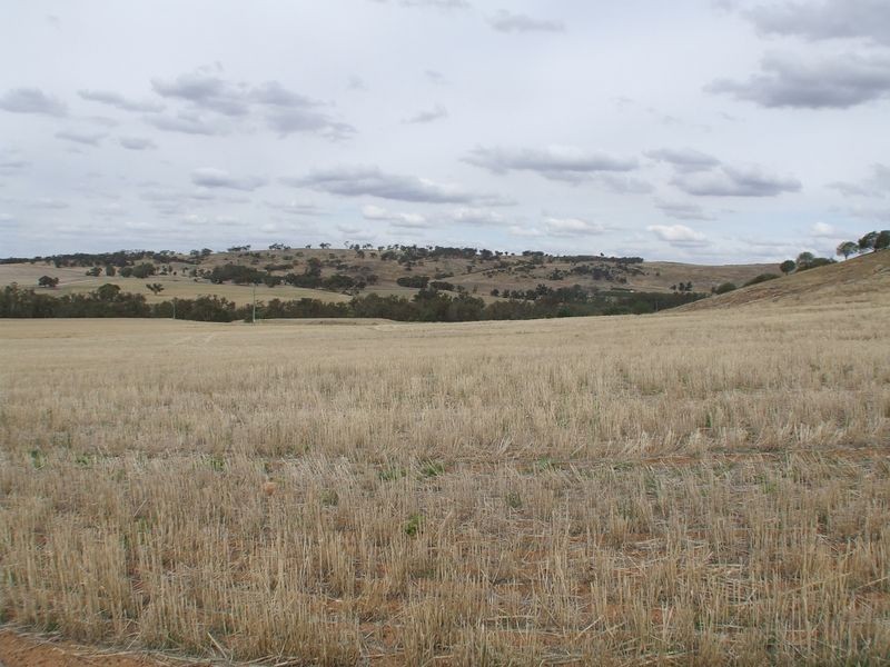 911 York Williams Road, Beverley WA 6304