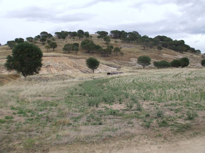 911 York Williams Road, Beverley WA 6304