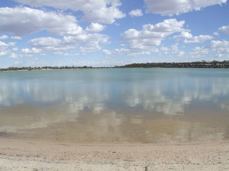 3051 & 305 Soldiers Road, Narembeen WA 6369