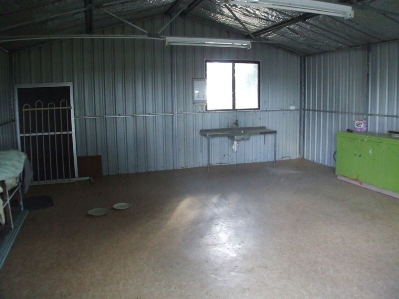 3051 & 305 Soldiers Road, Narembeen WA 6369