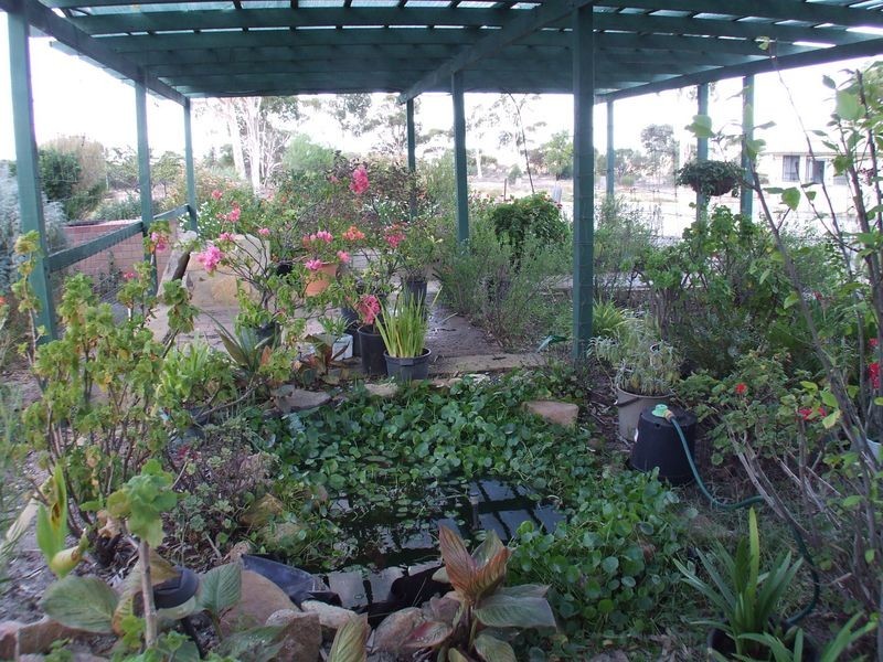 3051 & 305 Soldiers Road, Narembeen WA 6369