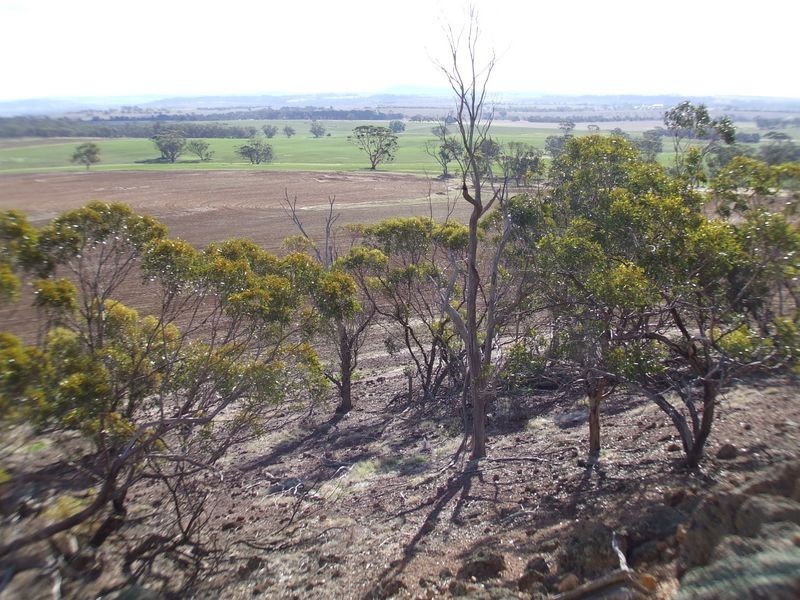 Lot 3231 Piccadilly Road, York WA 6302