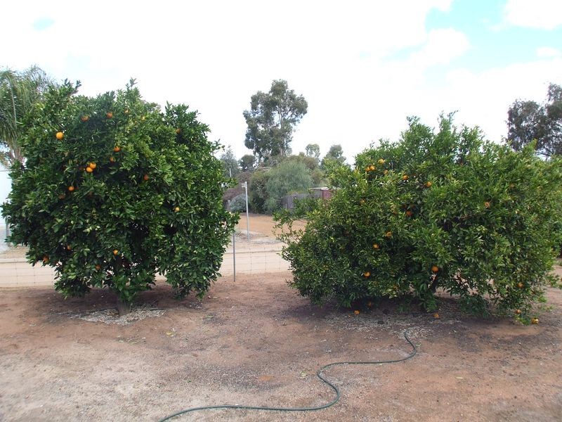 2 Craig Street, York WA 6302