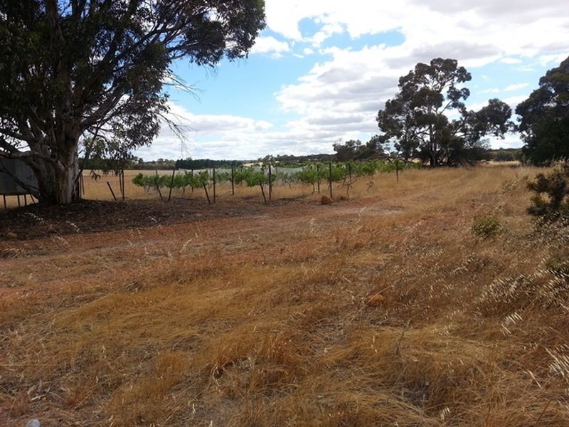 563 Kokendin Road, Beverley WA 6304