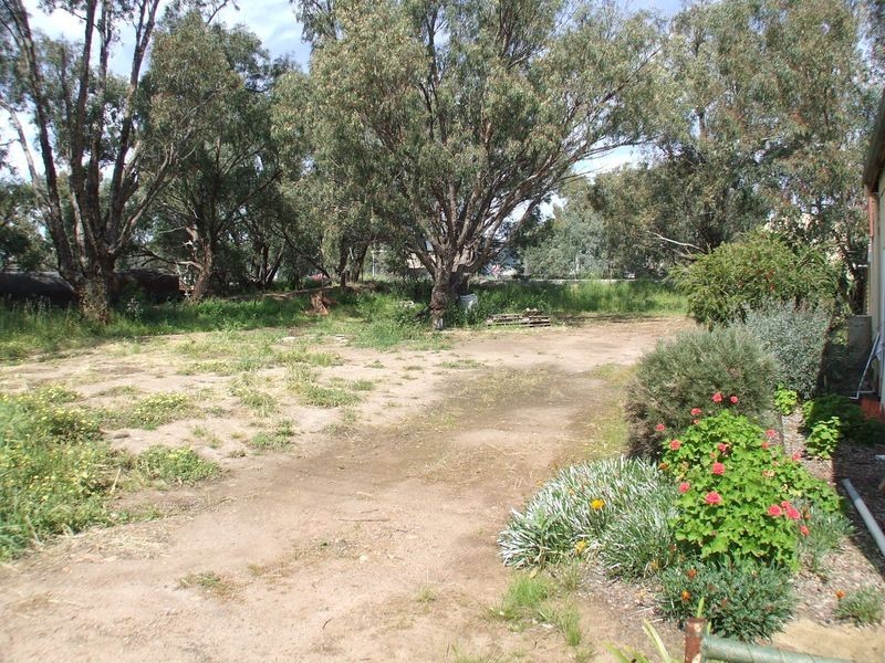 1 & 3 William Street, York WA 6302