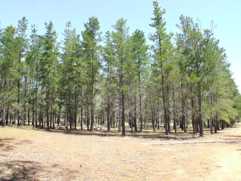 113 Kieara Road, Beverley WA 6304