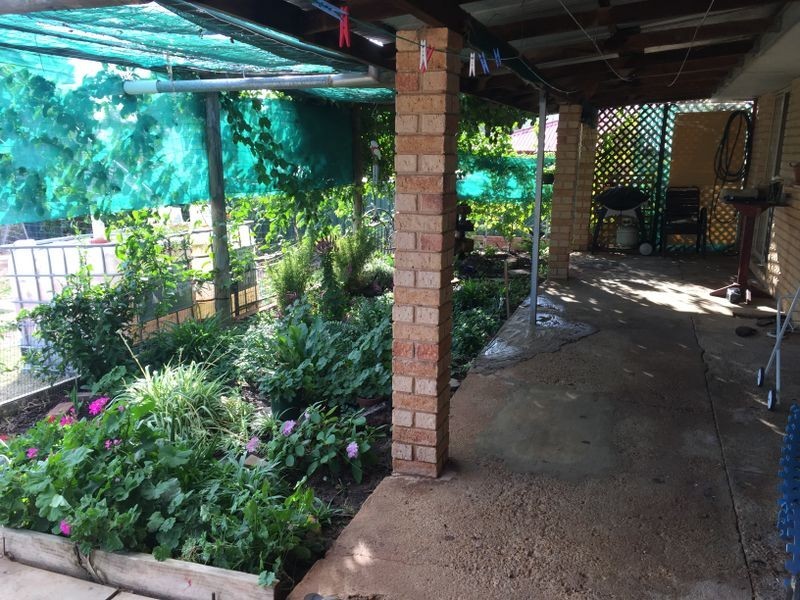 5 Thomson Street, York WA 6302