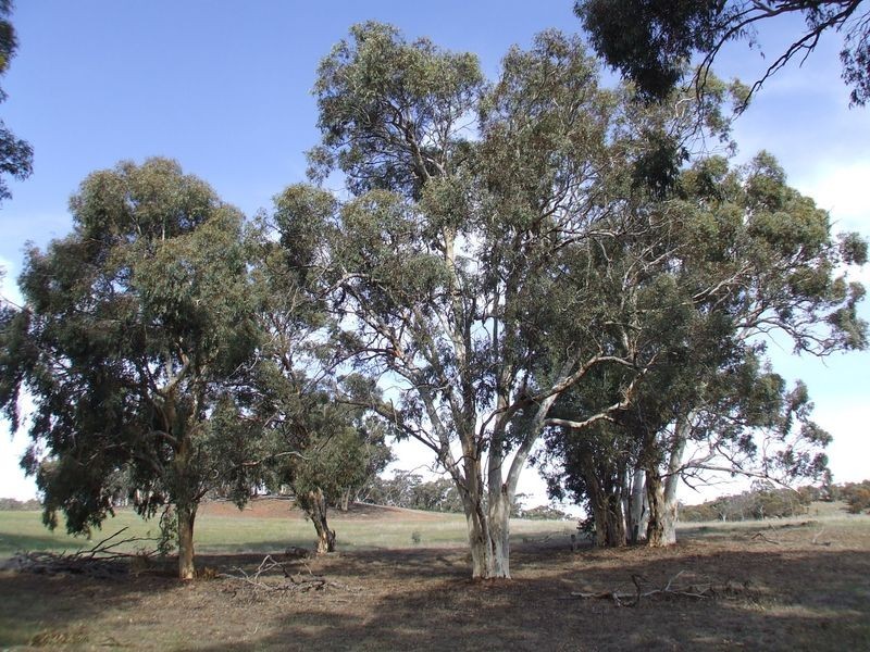 Lot 28140 Ashworth Road, York WA 6302