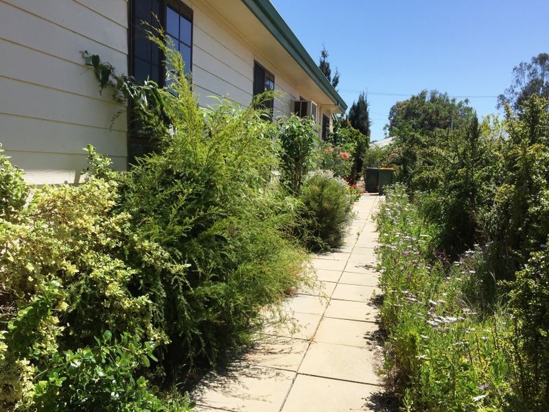 17 Bird Street, York WA 6302