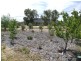 82 Newcastle Street, York WA 6302