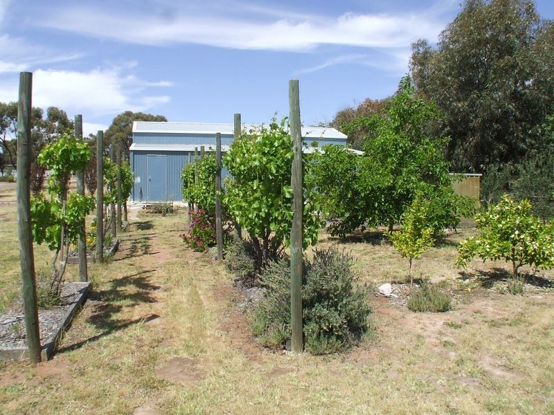 82 Newcastle Street, York WA 6302