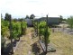 82 Newcastle Street, York WA 6302