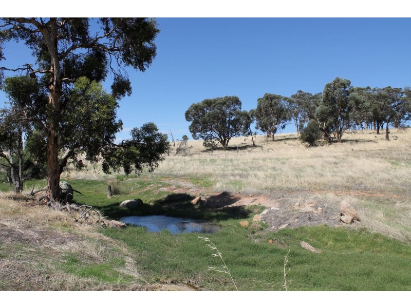 Lot 1339 Mokine Road, Daliak WA 6302