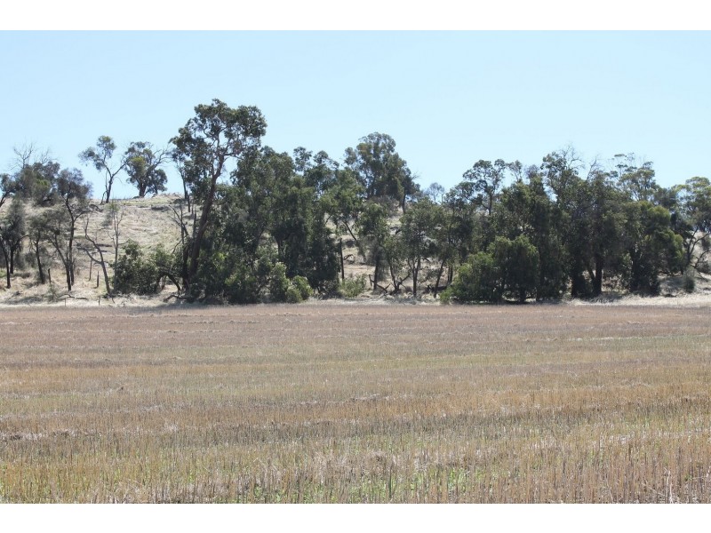 Lot 1339 Mokine Road, Daliak WA 6302