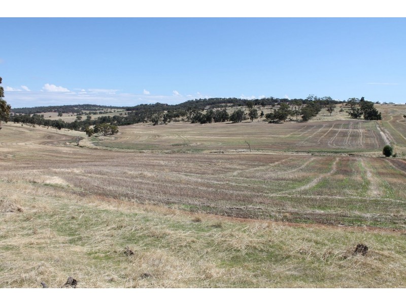 Lot 1339 Mokine Road, Daliak WA 6302