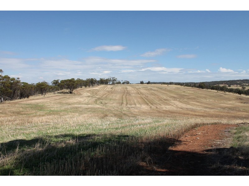 Lot 1339 Mokine Road, Daliak WA 6302