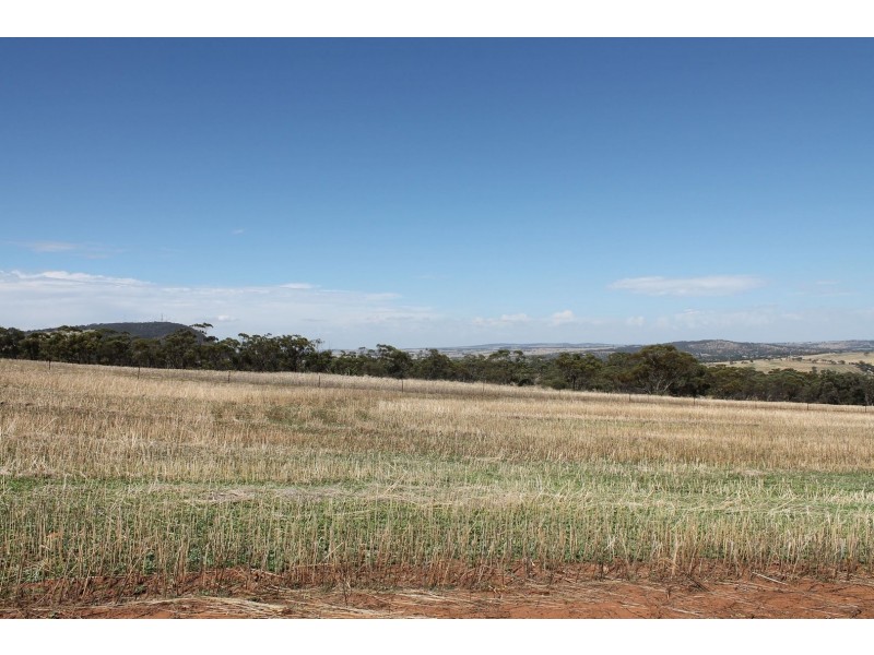 Lot 1339 Mokine Road, Daliak WA 6302