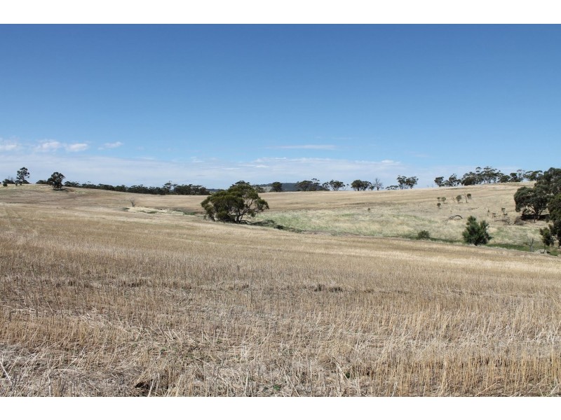 Lot 1339 Mokine Road, Daliak WA 6302