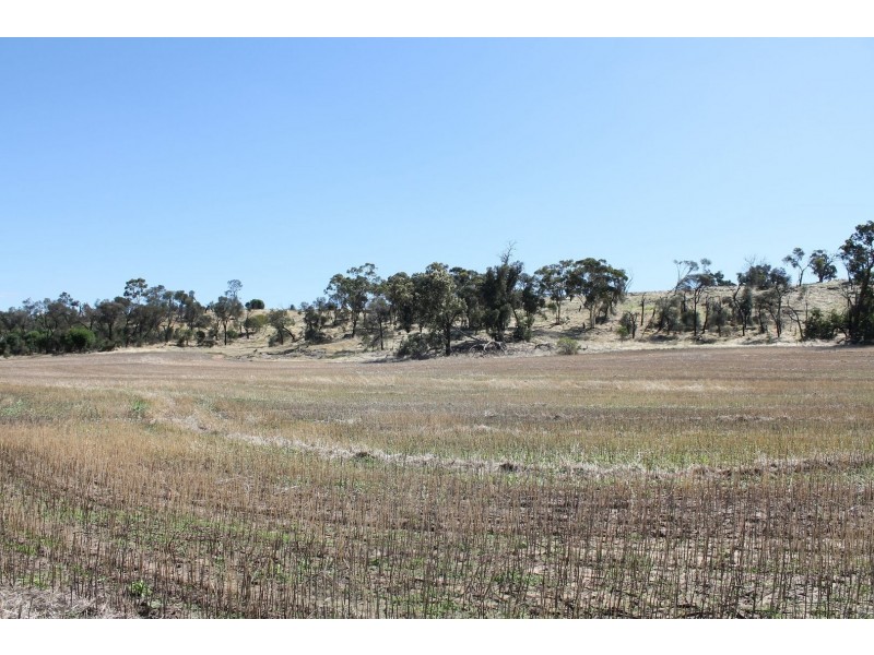 Lot 1339 Mokine Road, Daliak WA 6302