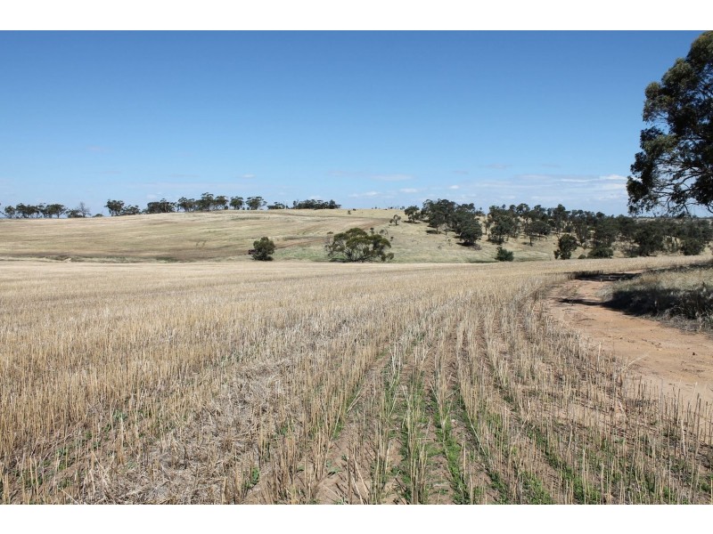 Lot 1339 Mokine Road, Daliak WA 6302