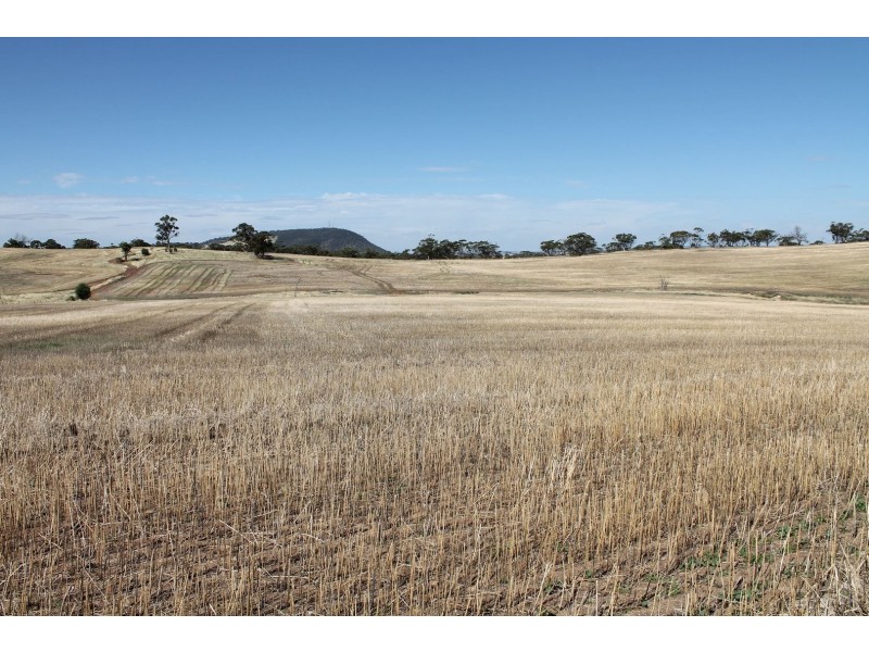 Lot 1339 Mokine Road, Daliak WA 6302