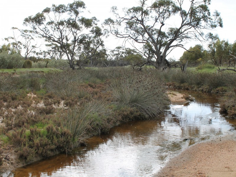 Lot 899 Cameron Road, Greenhills WA 6302