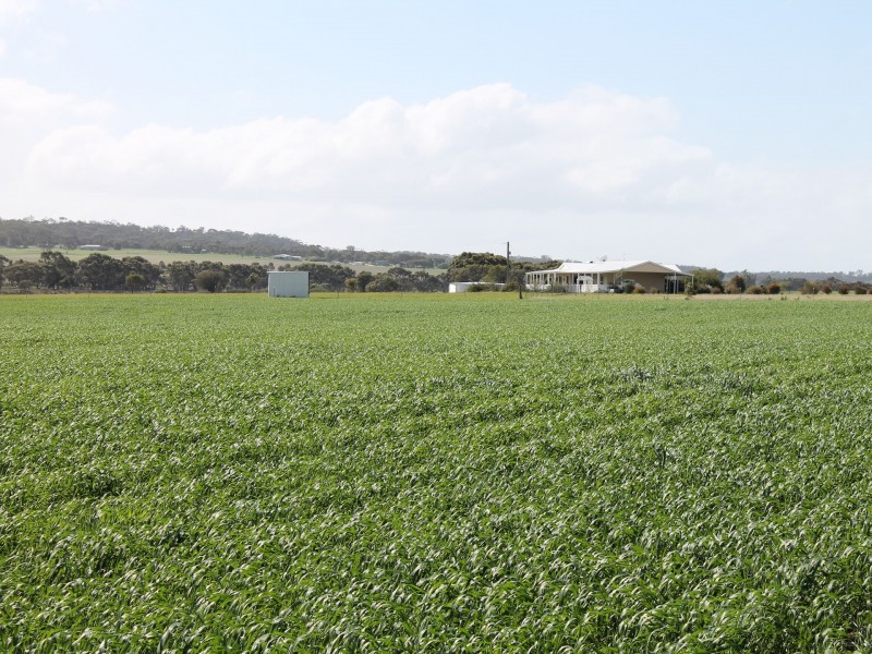 Lot 899 Cameron Road, Greenhills WA 6302