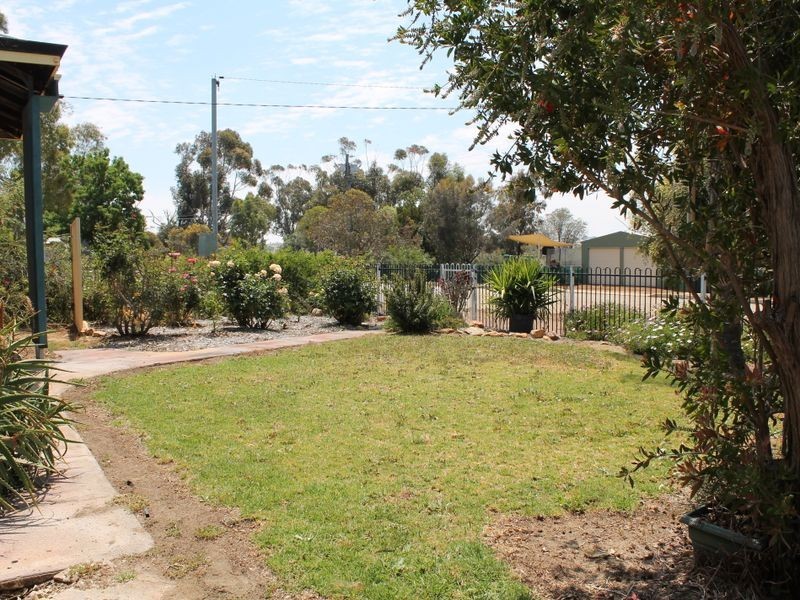 16 Carter Street, Grass Valley WA 6403