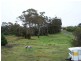 Bridport TAS 7262