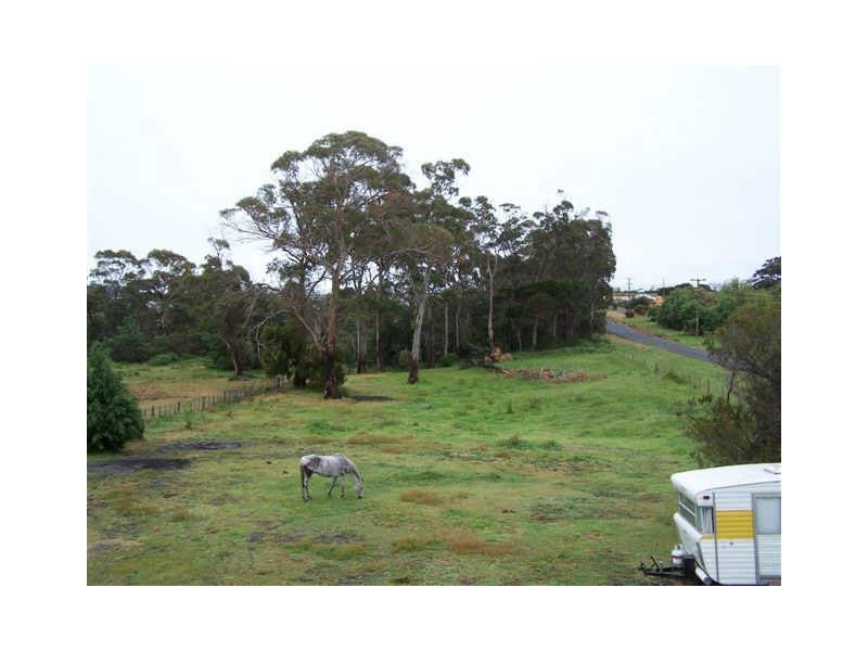 Bridport TAS 7262