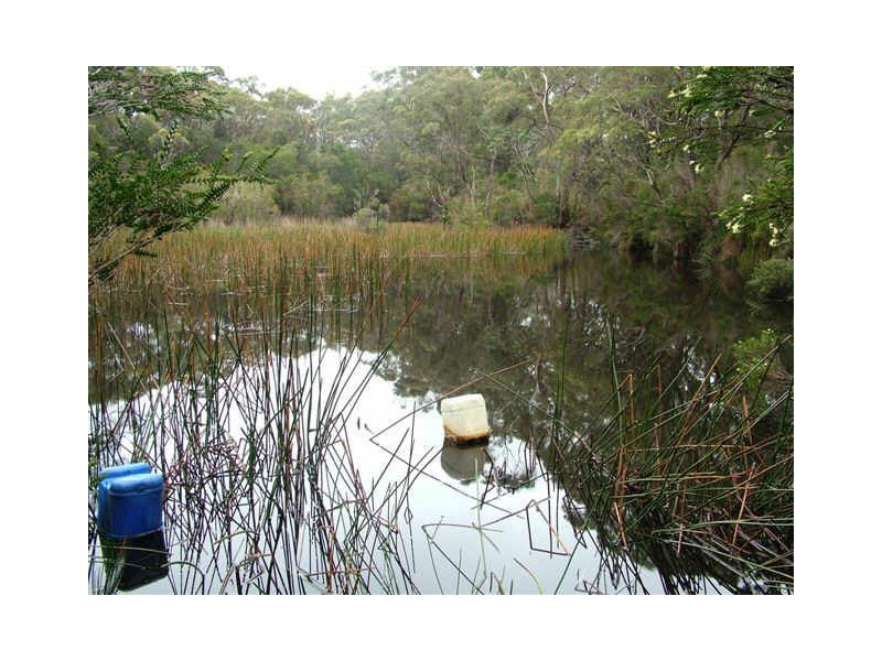 South Mount Cameron TAS 7264