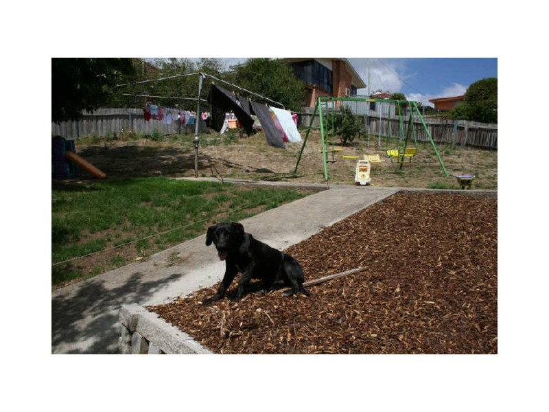 Kings Meadows TAS 7249