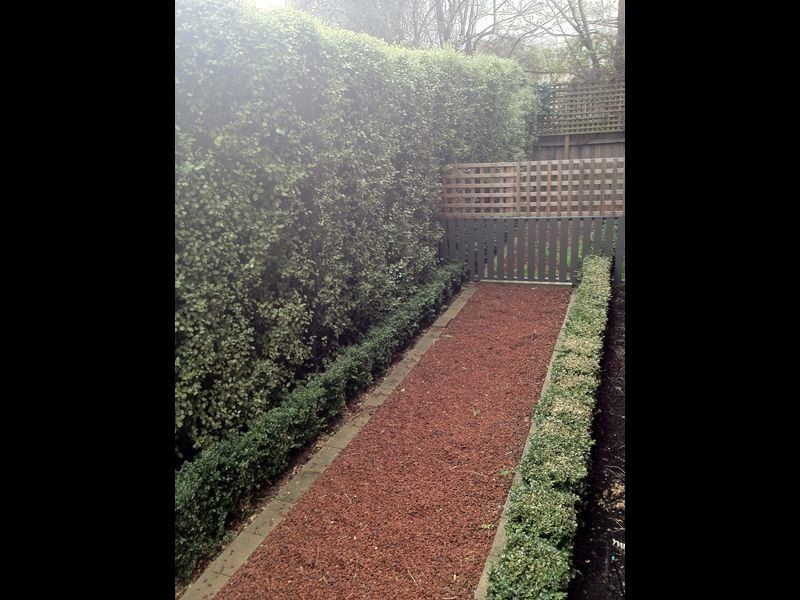 11 Rocher Street, West Launceston TAS 7250